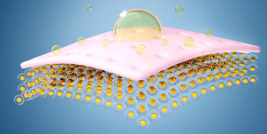 Hemp for Skin and Hair: The Botanical Science Behind Nature’s Most Powerful Oil